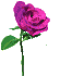 :august3