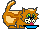 :katA